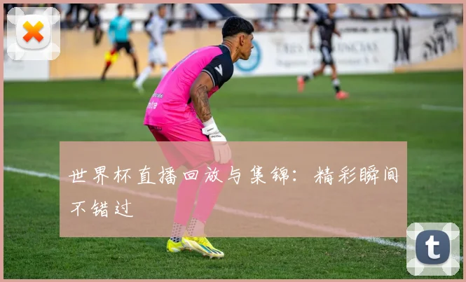 世界杯直播回放与集锦：精彩瞬间不错过